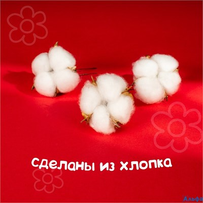 Сухие цветы хлопка набор 3 шт. размер 1 шт. 6 × 6 см цвет белый РА-00013751 - фото 138644