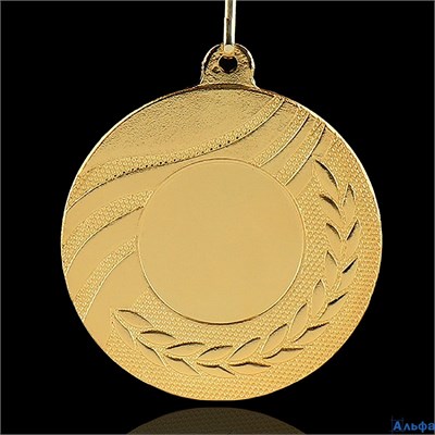 Медаль под нанесение 007 диам 5 см. цвет золотой, с лентой 9459281 9459281 - фото 138839