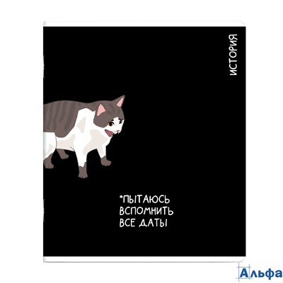 Тетрадь предметная 48 листов А5+ клетка Коты мемы История выборочный твин УФ-лак, 60г/м2 69823 Феникс 16/48 РА-00020633 - фото 141701
