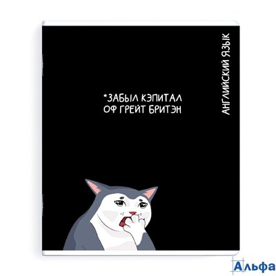 Тетрадь предметная 48 листов А5+ клетка Коты мемы Английский язык выборочный твин УФ-лак, 60г/м2 69828 Феникс 16/48 РА-00020638 - фото 141706