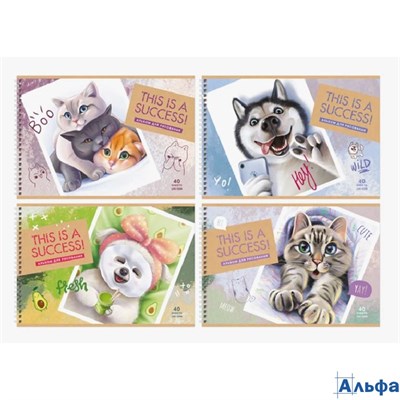 Альбом для рисования А4 40л гребень Лучший кадр 100г/м2 BG АР4гр40 10894 РА-00020715 - фото 142107