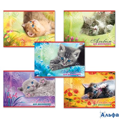 Альбом 20л д/рис. А4 Котята 100г/м2 3489 20А4В_3489 Хатбер РА-00005704 - фото 142119