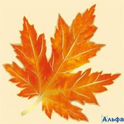 Декор.элемент Кленовый лист 29,820,00 Империя поздравлений РА-00010695