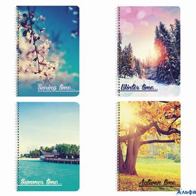 Тетрадь 96л А4 гр. кл. 4 сезона 403071 BRAUBERG РА-00014492