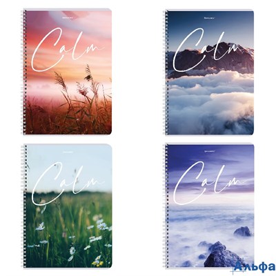 Тетрадь А4 96 л. гребень клетка обложка картон Calm 404059 Brauberg РА-00021368