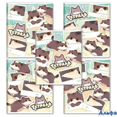 Тетрадь А5 48 л. скоба клетка выборочный лак кросс-серия Милые коты 405193 Brauberg РА-00021371