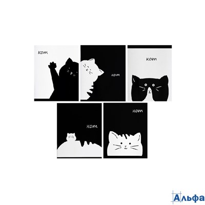 Тетрадь 48 листов в линейку Calligrata Кот микс РА-00021395