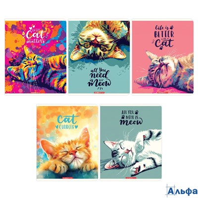 Тетрадь А5 48л клетка скрепка мелов.картон Нужный кот микротексутра ассорти ACADEMY STYLE 15040/5 РА-00021668