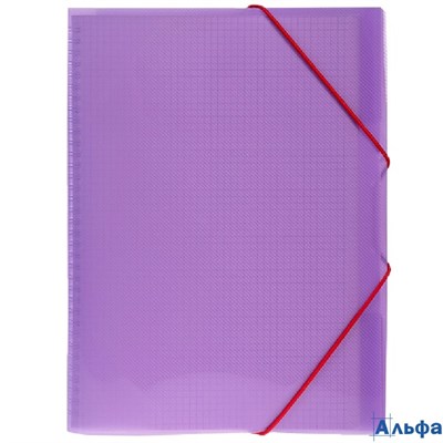 Тетрадь А4 80л клетка гребень пласт.обл. Однотон FolderBook Фиолетовая на резинке Хатбер 80ТП4 РА-00021655