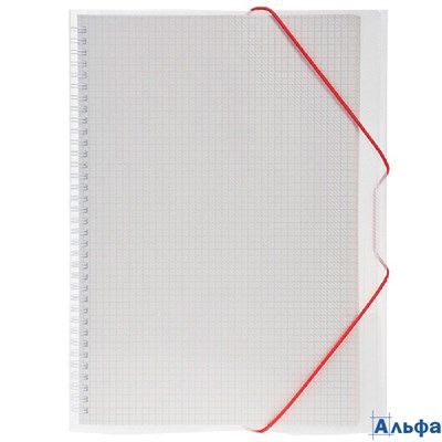 Тетрадь А4 80л клетка гребень пласт.обл. Однотон FolderBook Белая на резинке Хатбер 80ТП4 РА-00021654