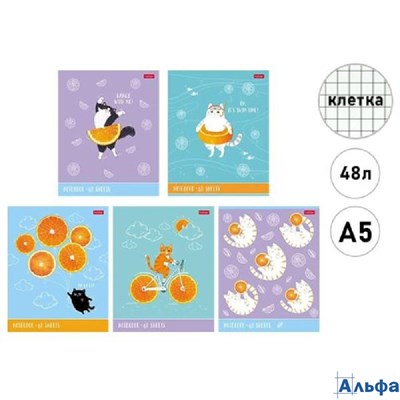 Тетрадь А5 48л клетка скрепка мелов.картон Котик-апельсинка выб.лак. ассорти HATBER 48Т5вмВ1 РА-00021627
