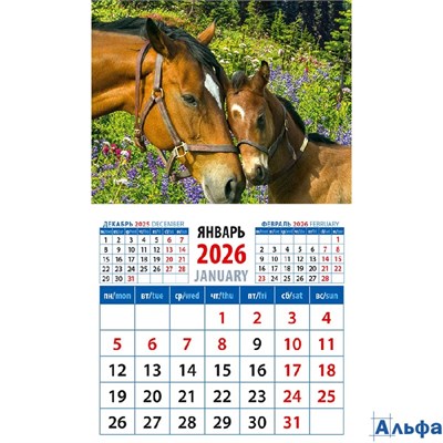 2026 Календарь на магните 94х167мм 12л Год лошади.Нежность День за Днем 20631 РА-00021635