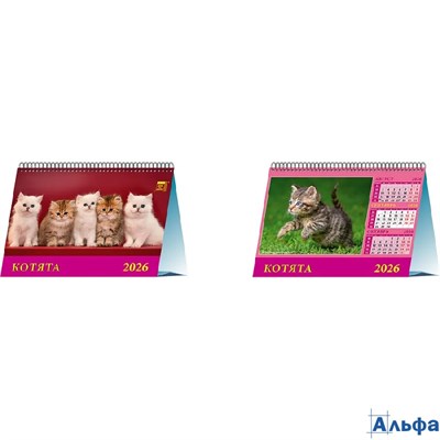 2026 Календарь домик 140х200мм Гребень 6л Котята День за Днем 19609 РА-00021634