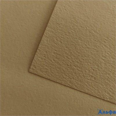 Бумага для рисования акварелью, пастелью А3 200г/м2 светло-коричн. цена за 1шт Лилия Холдинг БР-8059 РА-00021738