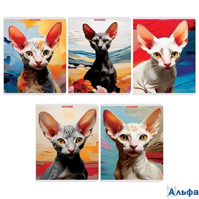 Тетрадь А5 96л клетка скрепка мелов.картон Сфинксы soft touch ассорти Асаdemy style 15198/5 РА-00021757