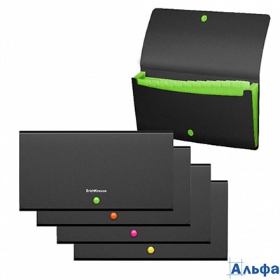 Папка пласт. 13,8х26 12отд.на кноп.Matt Accent.Check size асс. 50426 Erich Krause РА000043072
