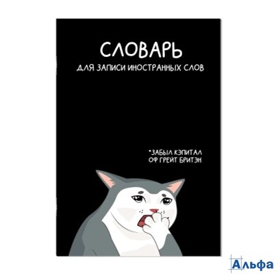 Тетрадь 24 листа А5 для записи иностранных слов Коты мемы глянцевая ламинация 65г/м2 69895 Феникс 1/ РА-00021481