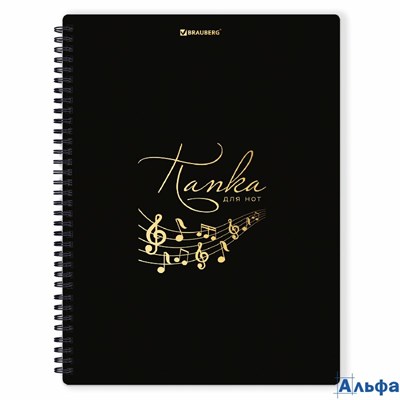 Папка-тетрадь для нот А4 20 вкладышей на 40 страниц на гребне пластик черная Brauberg 404643 РА-00022004