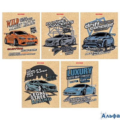 Тетрадь А5 48л клетка скрепка карт.обл. крафт Street racing тисн.фольгой ассорти Academy Style 14085 РА-00021733