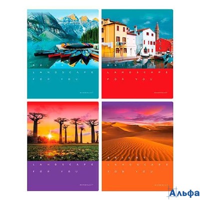 Тетрадь А5 48л клетка скрепка мелов.картон Местоположение глянц.лам. ассорти BG Т5ск48_лг 12284 РА-00021749