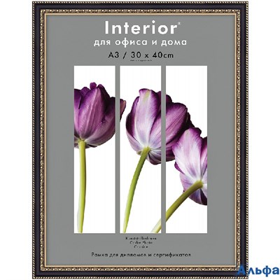 Рамка пласт. 30х40 Interior Office черный 789 РА000032941