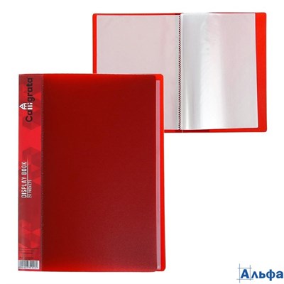 Папка 20 файлов А5 красная inФормат/Calligrata РА000004080