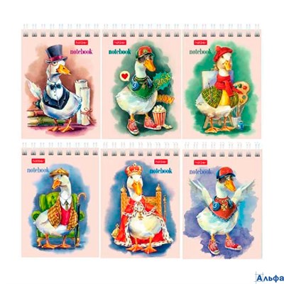 Блокнот А7 40л кл. гр. Gussi асс. 40Б7В1гр HATBER РА-00014874