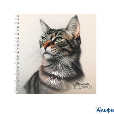 Скетчбук 190х190мм 40л гребень мягк.обл. Зеленоглазый котик блок-крафт 80г/м2 PROF-PRESS 40-0313 РА-00022355