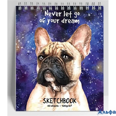 Скетчбук А6 40л гребень тв.обл. Бульдог мат.лам. 120г/м2 Seventeen 10739 РА-00022296