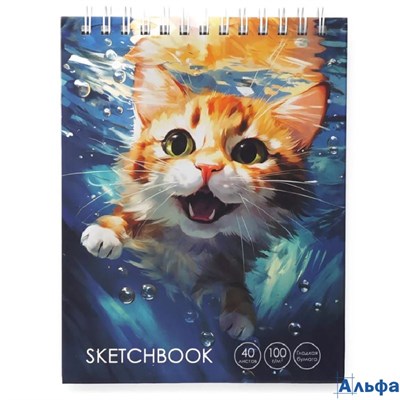 Скетчбук А6+ 40л гребень тв.обл. Довольный котик 100г/м2 Listoff ТС6405441 РА-00022297