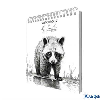 Скетчбук А6+ 40л гребень тв.обл. Енотик 100г/м2 Listoff ТС6405442 РА-00022298