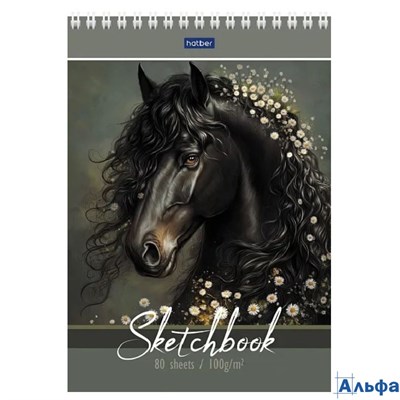 Скетчбук А5 80л гребень мягк.обл. Вороная грация жест.подложка 100г/м2 HATBER 80Б5Aгр_34436 РА-00022293