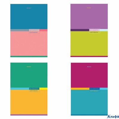 Тетрадь А4 60л. клетка Color 404043 BRAUBERG РА-00014816