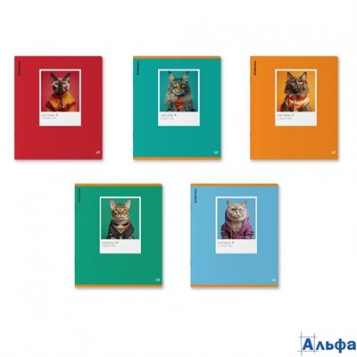 Тетрадь 48 листов А5+ 170х203 клетка CatTone ассорти матовая ламинация выборочный Уф-лак Mix-Pack 60 РА-00022608