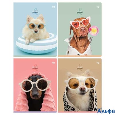 Тетрадь А5 48л линия скрепка мелов.картон Lovely sandy touch ассорти BG Т5ск48_вл 60316 РА-00023132