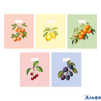 Тетрадь А5 48л клетка скрепка мелов.картон Сочные фрукты и ягоды ассорти 5 диз. Listoff ТК489110 РА-00023124