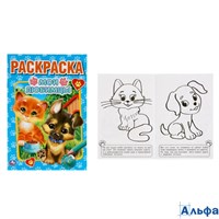 Раскраска Умка Первая раскраска А5 Мои любимцы РА-00008268