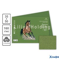Бумага для пастели B3 350х500 Палаццо Dark jungle тем.джун.160гр БРDJ/B3 Лилия ЦЕНА ЗА 1 ЛИСТ БРDJ/B3