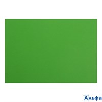 Картон цветной А2 200 г/м тонированный зеленый КЦА2зел. Лилия КЦА2зел.