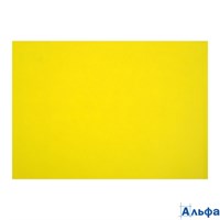 Картон цветной А2 200 г/м тонированный желтый КЦА2жел. Лилия КЦА2жел.