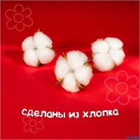 Сухие цветы хлопка набор 3 шт. размер 1 шт. 6 × 6 см цвет белый 4104734