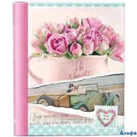 Фотоальбом магнитный 10л 23x28 серия 318 SA-10P Image art Б0049403 РА-00012163