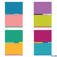 Тетрадь А4 60л. клетка Color 404043 BRAUBERG 404043