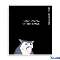 Тетрадь предметная 48 листов А5+ клетка Коты мемы Английский язык выборочный твин УФ-лак, 60г/м2 69828 Феникс 16/48 РА-00020638