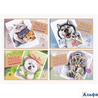 Альбом для рисования А4 40л гребень Лучший кадр 100г/м2 BG АР4гр40 10894 РА-00020715