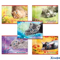 Альбом 20л д/рис. А4 Котята 100г/м2 3489 20А4В_3489 Хатбер РА-00005704