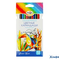 Карандаши цветные 12шт Классические 6-гранные 050918_02_02 Гамма 344224 РА-00018530