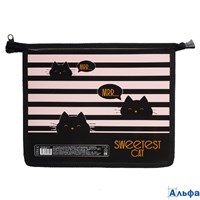Папка для тетрадей пластик молния сверху А5 1отд. Sweetest cat Кокос 251728 РА-00021023