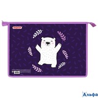 Папка для тетрадей А4 1 отделение картон/пластик на молнии Happy bear  Пифагор 272126 РА-00020951