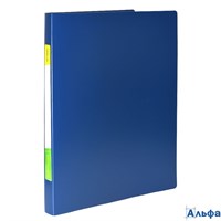 Папка с боковым зажимом А4 550мкм синяя NP1055B inФормат 040757 РА-00020436